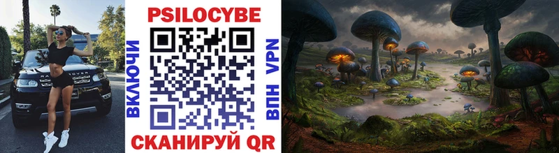 Купить где  Волчанск  Псилоцибиновые грибы MAGIC MUSHROOMS 